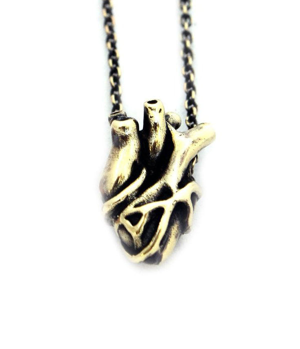 medium anatomical heart