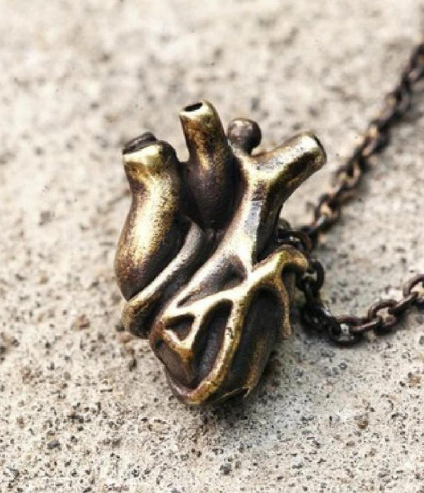 medium anatomical heart