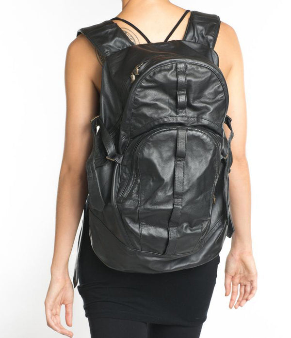 dingo back pack