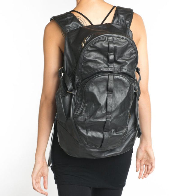 dingo back pack