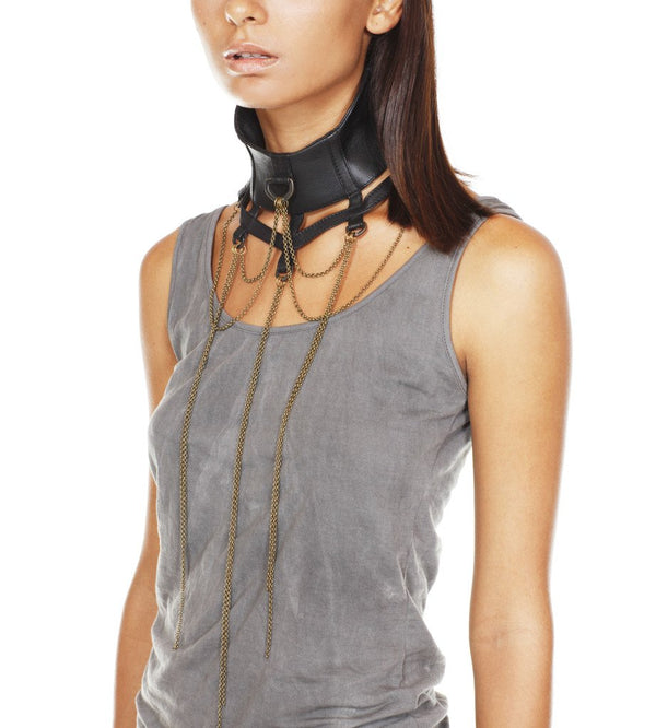  leather collar, neck piece.